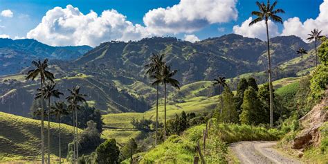  Journey to the Heart of the Coffee Land: A Colombian Symphony of Culture and Landscape!